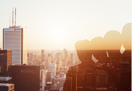 区域独家经营原则